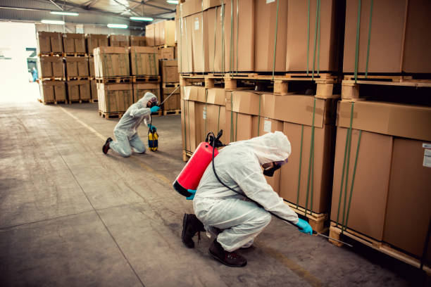 Best Local Pest Control Services  in Fanning Springs, FL
