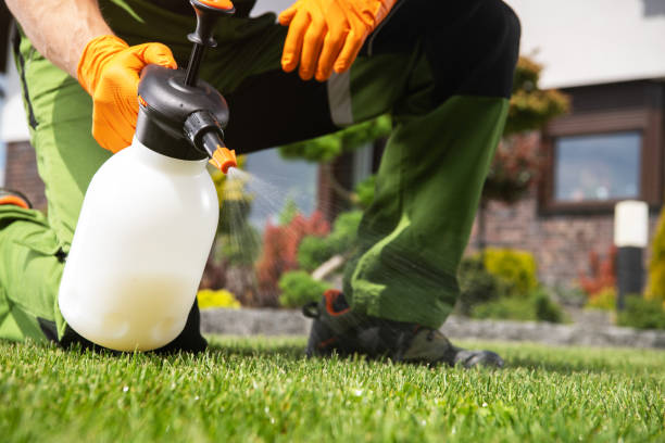 Professional Pest Control in Fanning Springs, FL