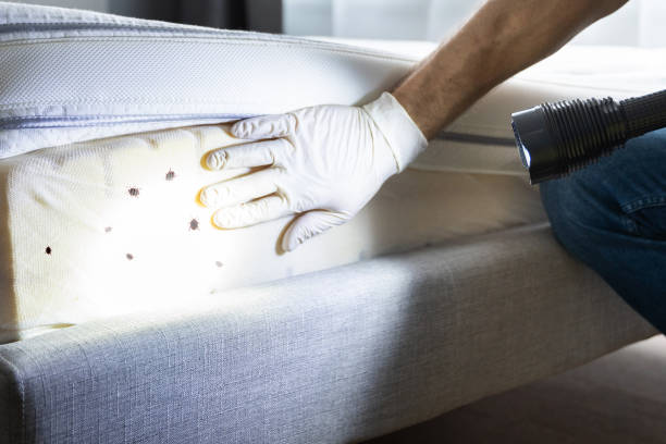 Best Pest Inspection Near Me  in Fanning Springs, FL