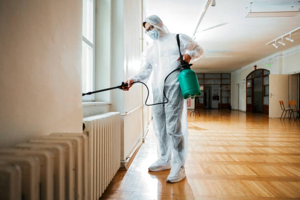 Best Termite Control Services  in Fanning Springs, FL