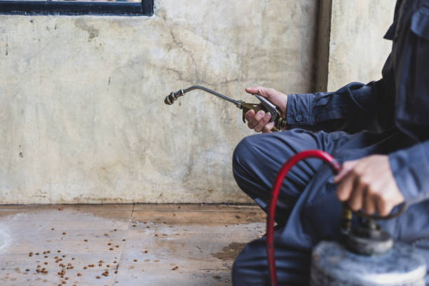 Pest Control Cost in Fanning Springs, FL